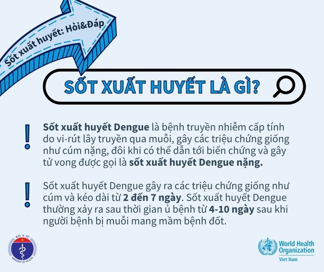 hình 1