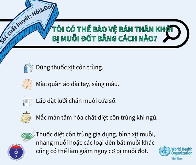 hình 2