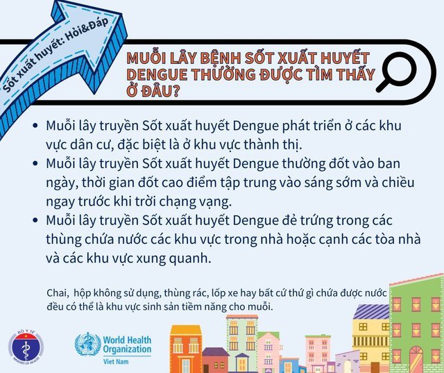 hình 4