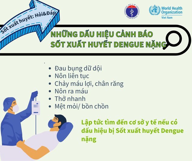 hình 5